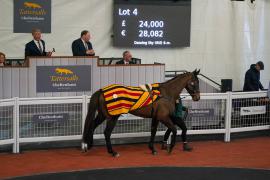 Lot  4 TCF3447Tattersalls