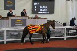 Lot  4 TCF4685Tattersalls