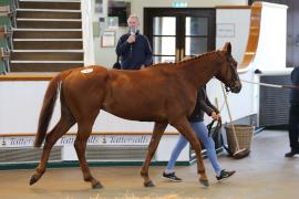 Lot  4 TCMay2304Tattersalls