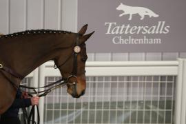 Lot  51 TCF4892Tattersalls