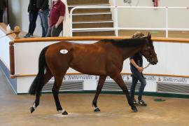 Lot  58 TCMay4119Tattersalls