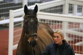 Lot  5 TCF3607Tattersalls