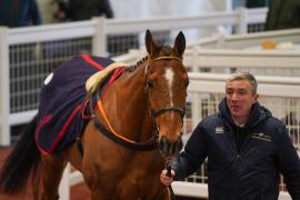 Lot  7 TCF5470Tattersalls