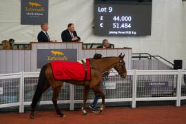 Lot  9 TCF4552Tattersalls