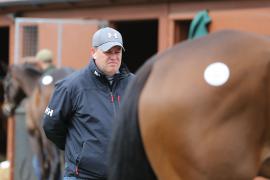 Mouse ORyan TCMay1257Tattersalls