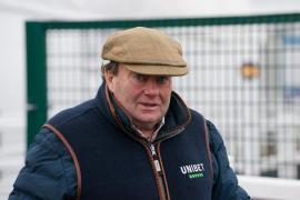 Nicky Henderson TCF1328Tattersalls