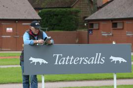 Oliver Sherwood TCMay2038Tattersalls