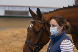 TC April Lot 28 Head Tattersalls Cheltenham