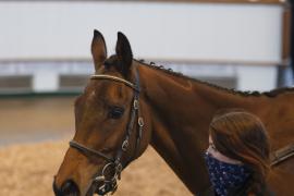 TC April Lot 39 Head Tattersalls Cheltenham