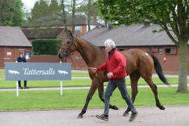 Tom Barry TCMay1429Tattersalls