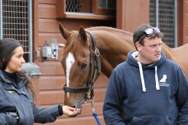 Tom Ellis TCMay0758Tattersalls